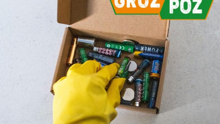 segregacja dziwne odpady